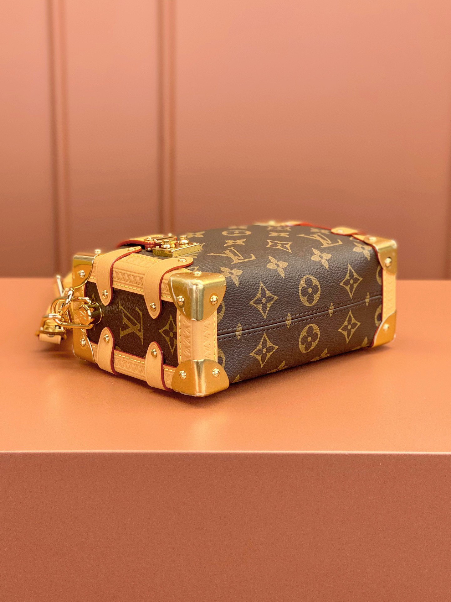 LV Bag