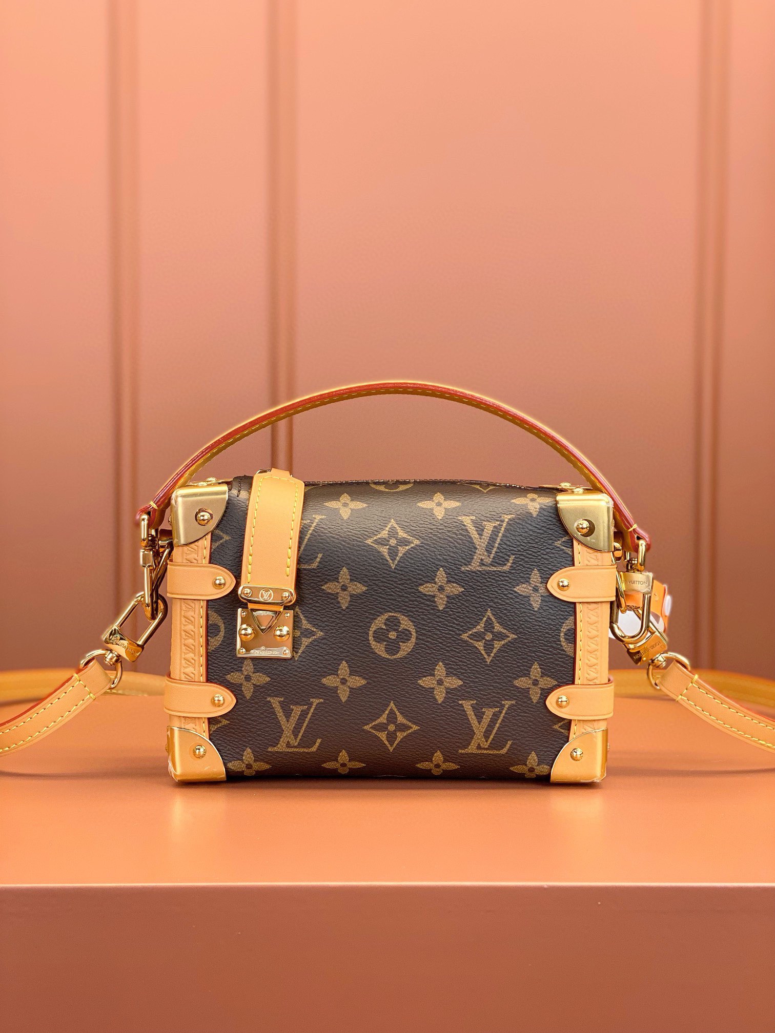 LV Bag