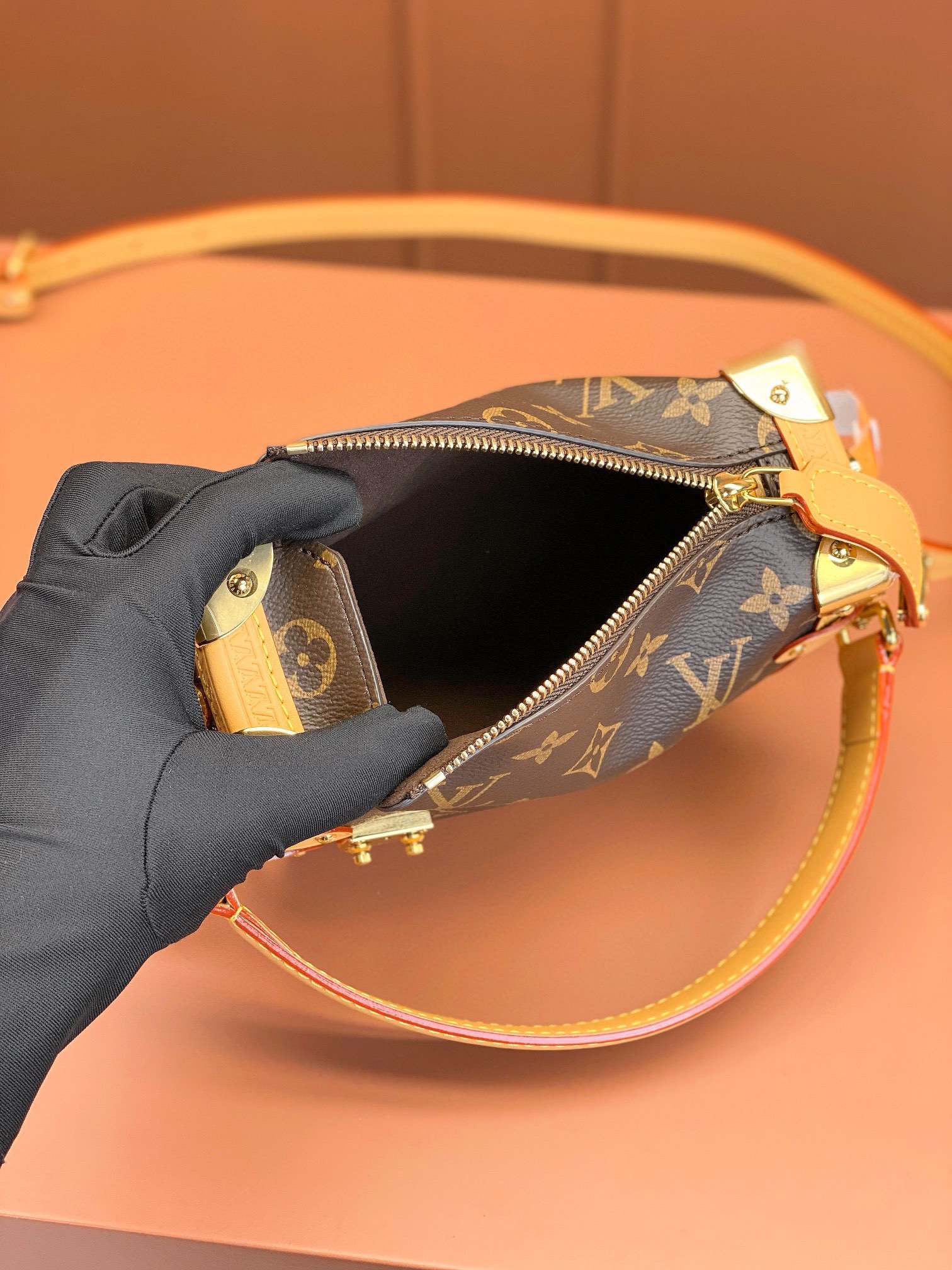 LV Bag