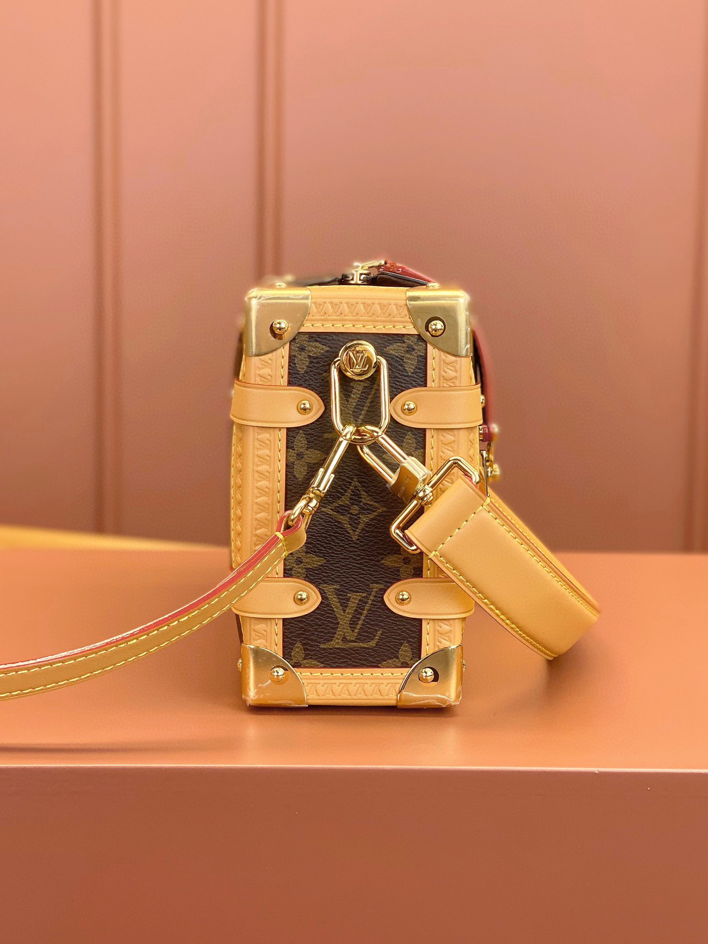 LV Bag