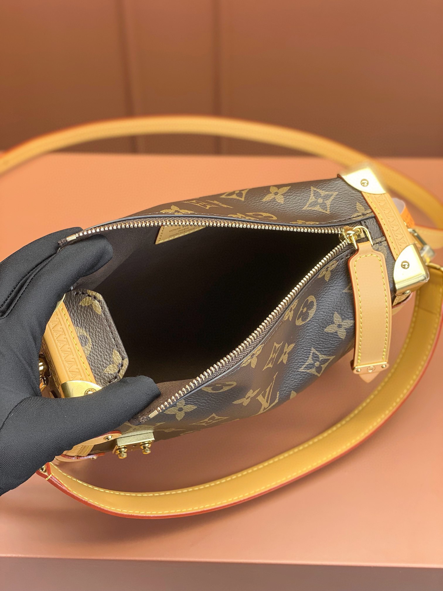 LV Bag