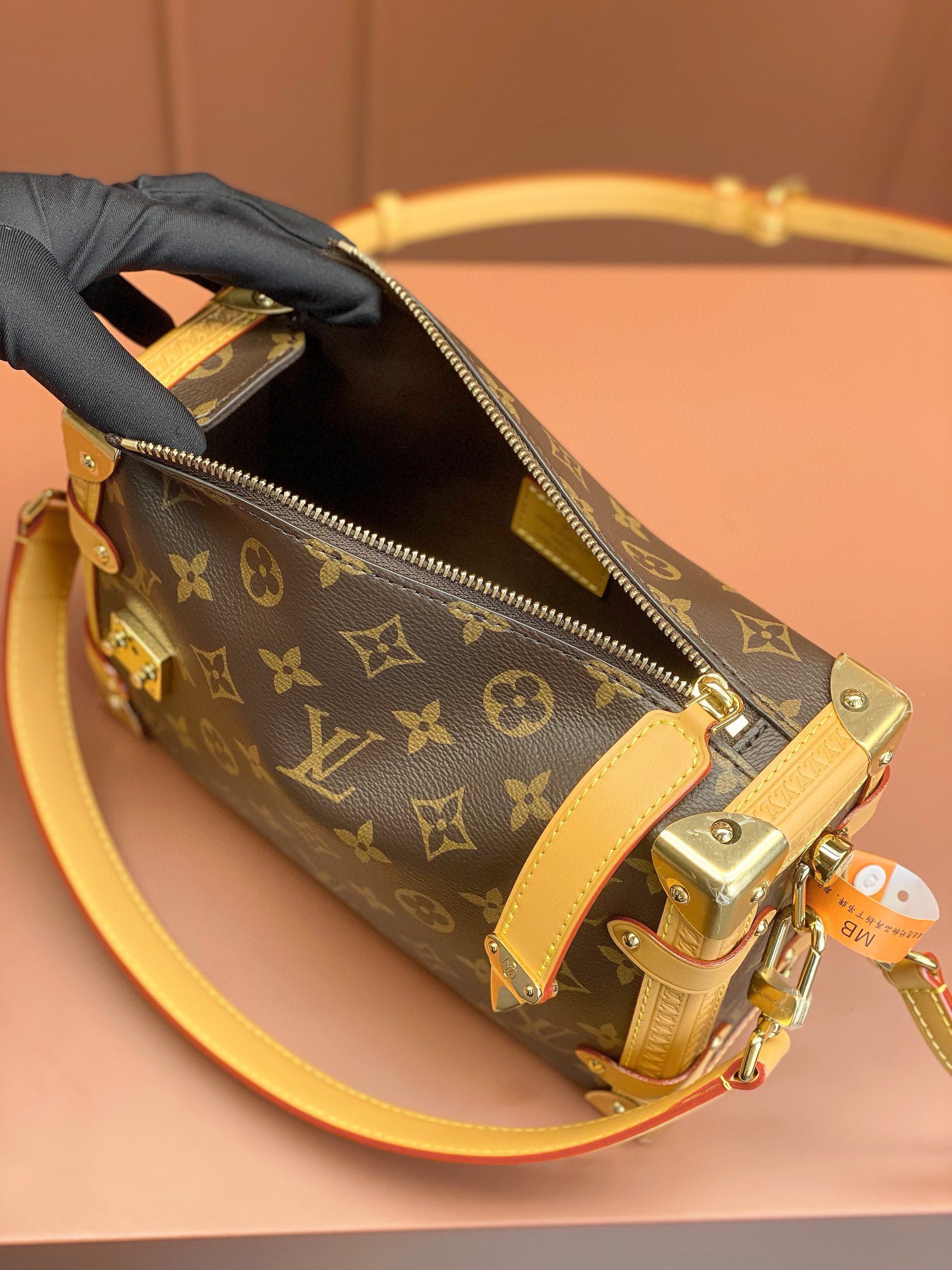 LV Bag