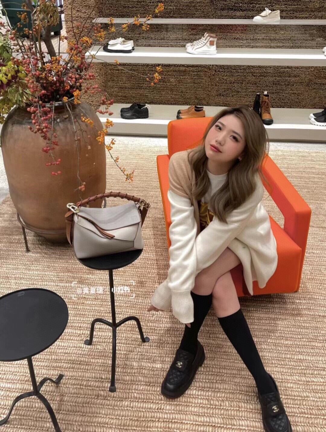 Loewe Bag