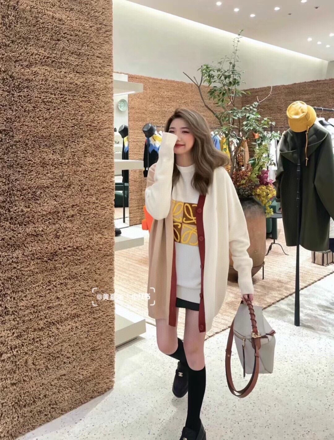 Loewe Bag