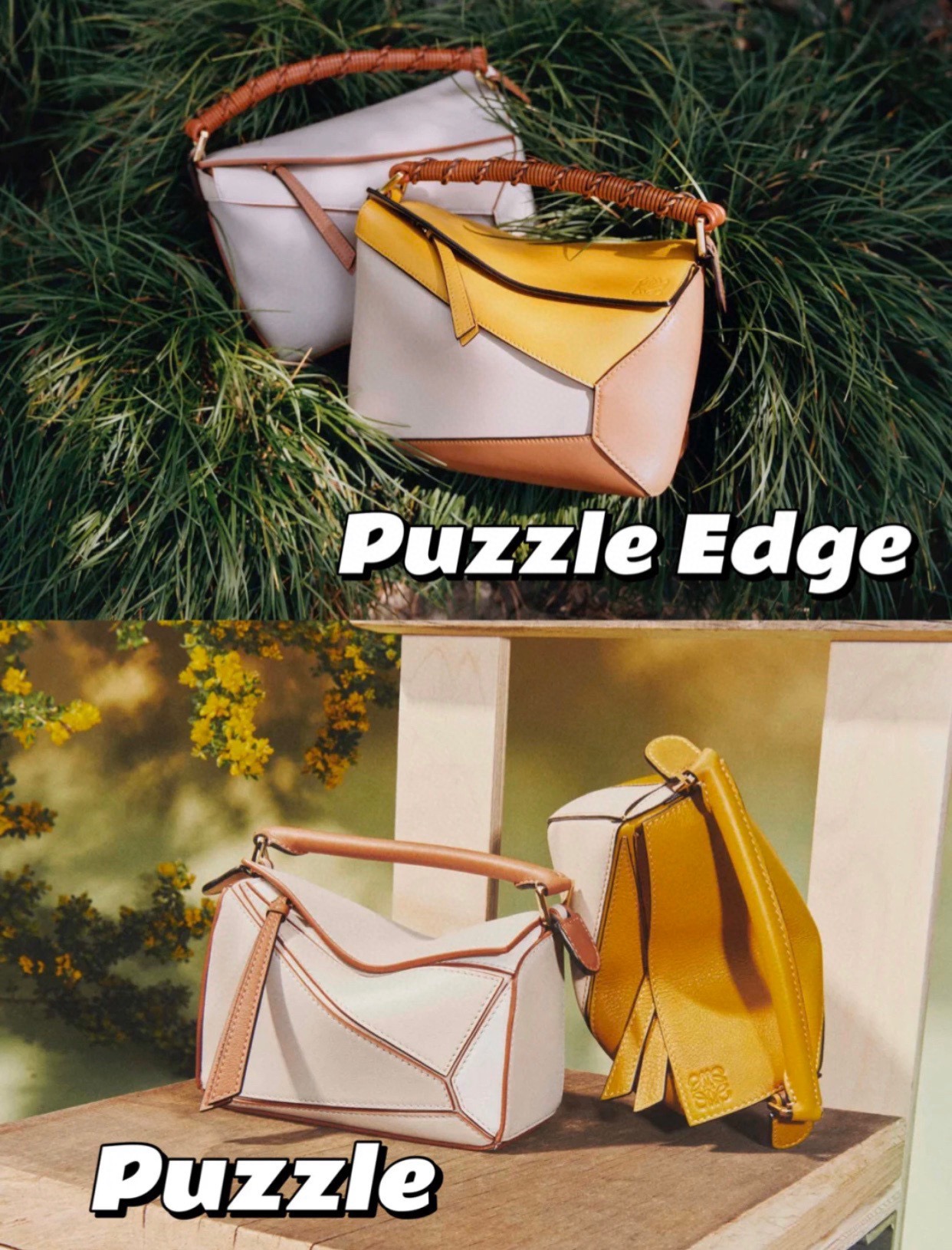 Loewe Bag