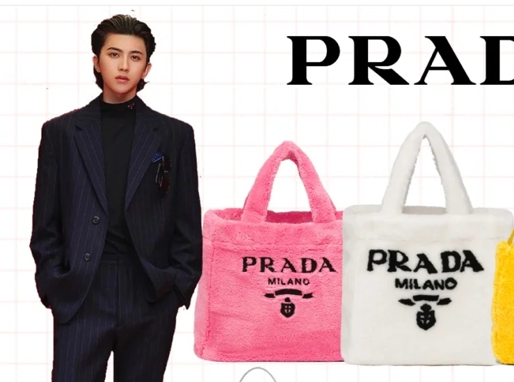 Prada Bag