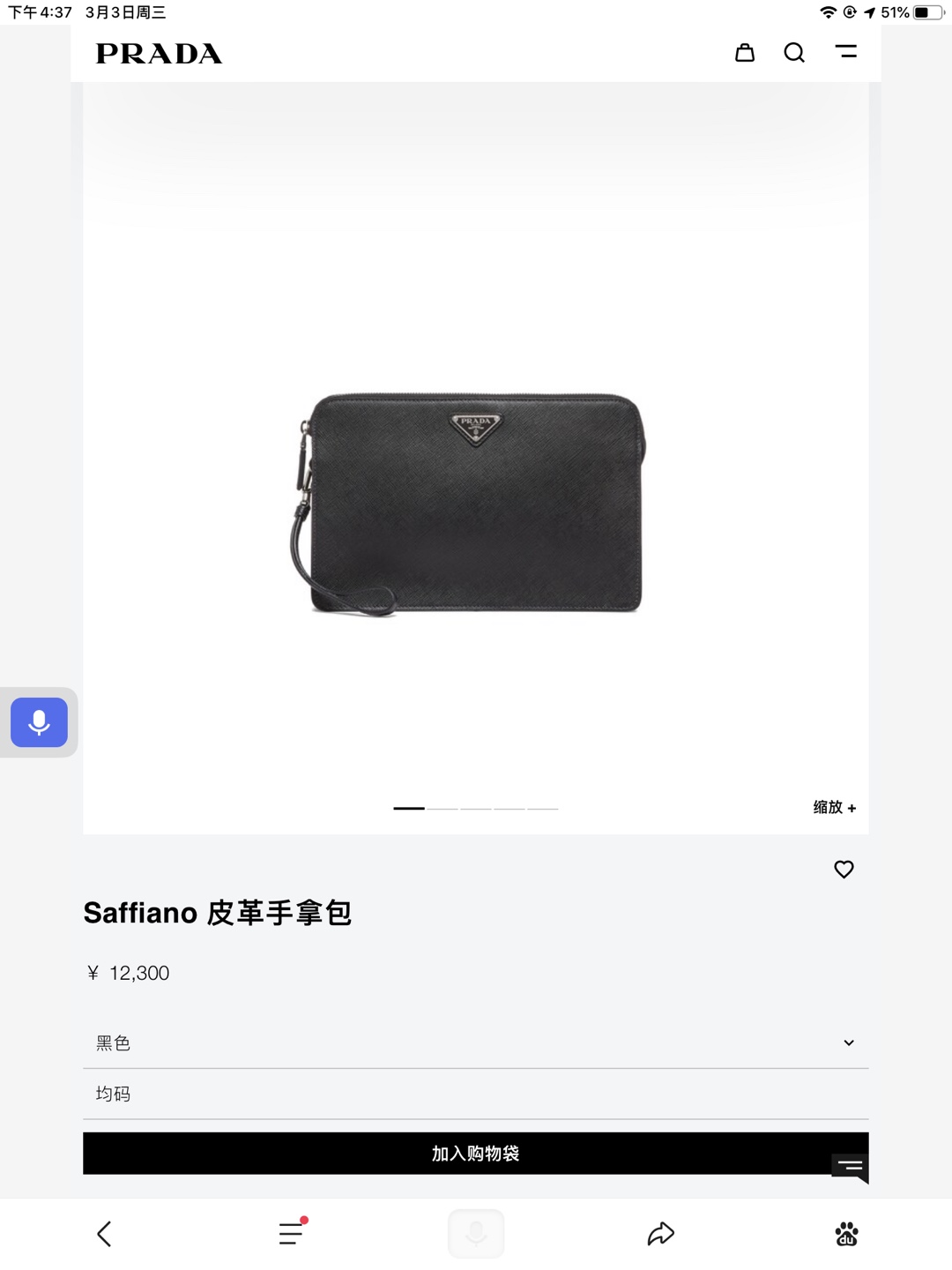 Prada Bag