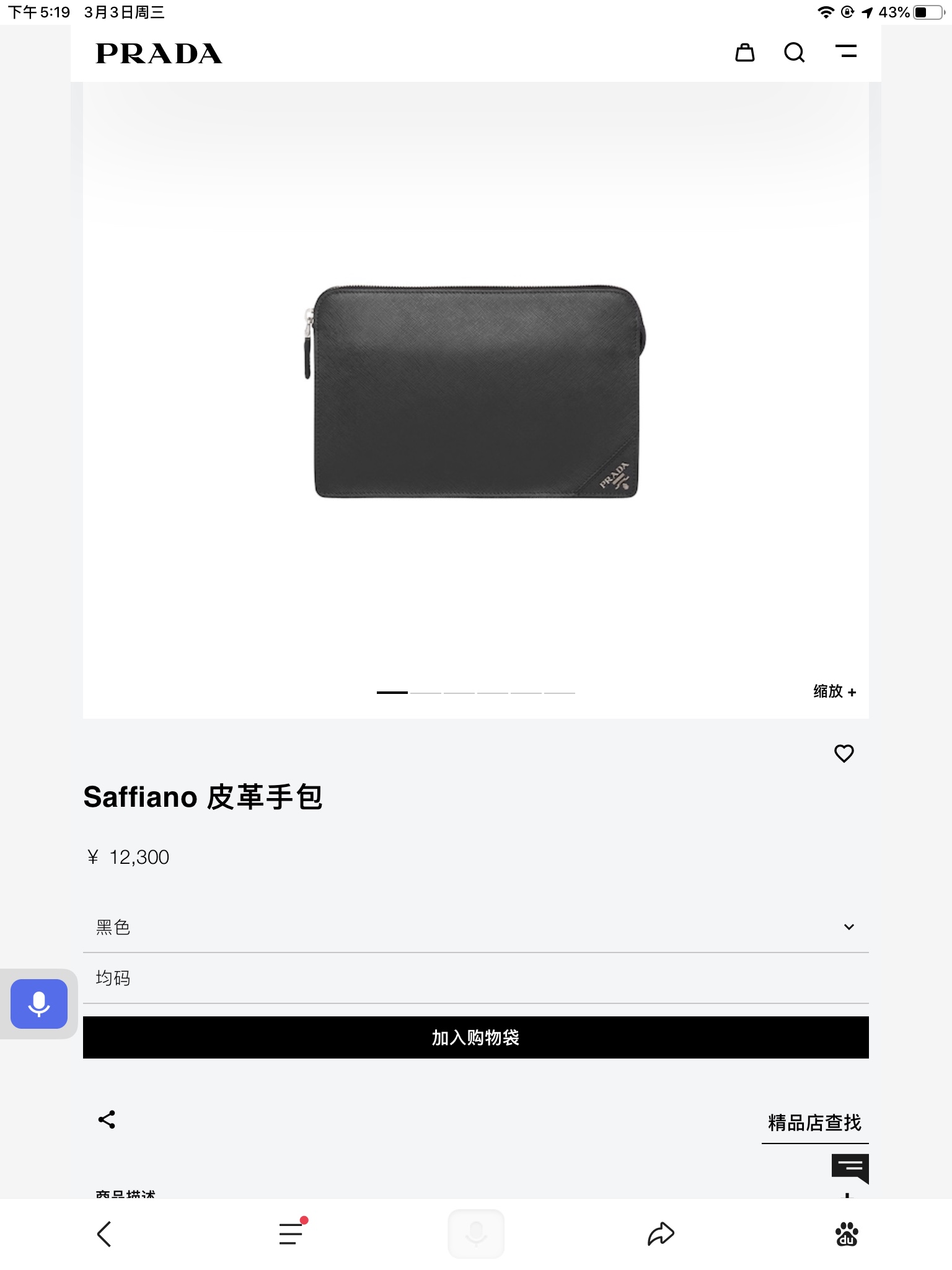 Prada Bag