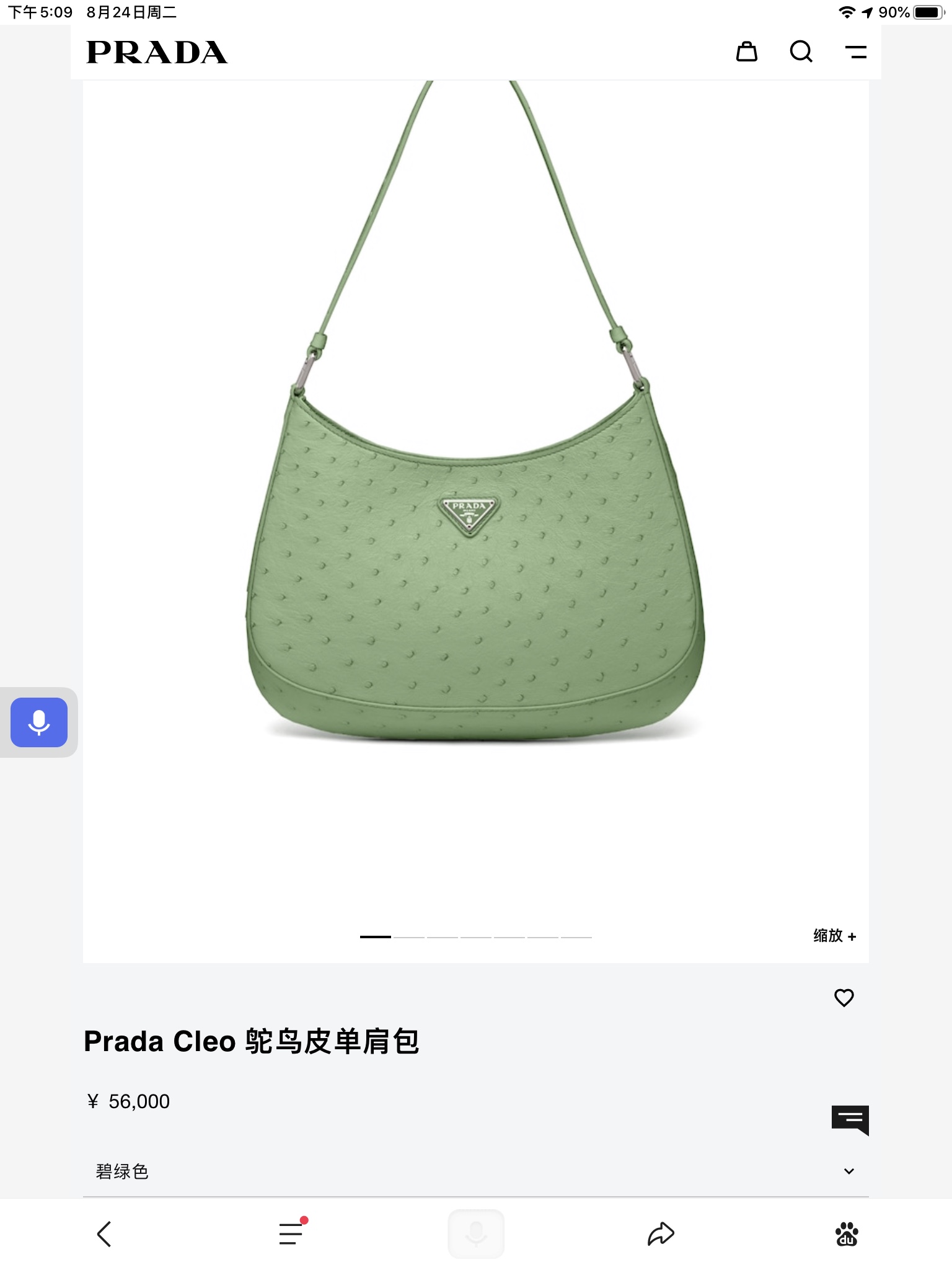 Prada Bag
