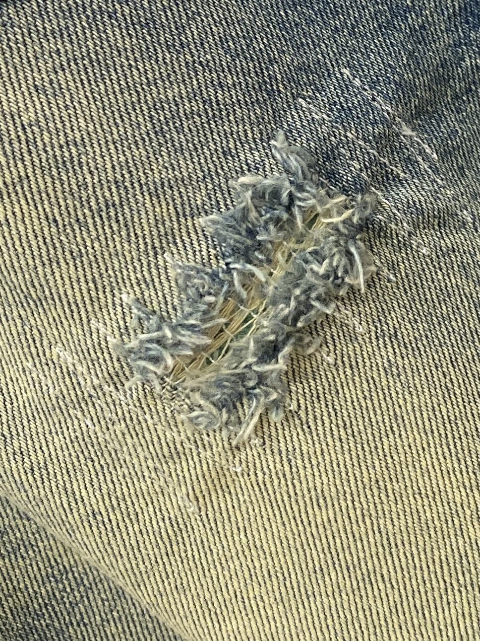 Jeans Man