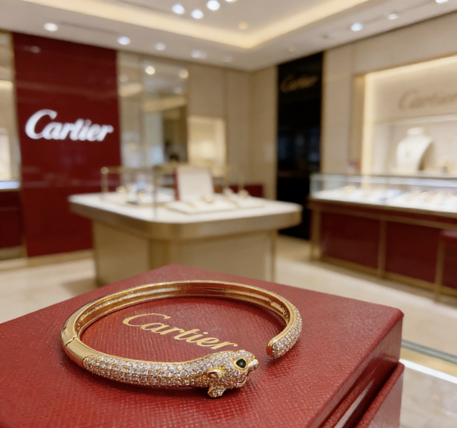 Bracelet Jewelry