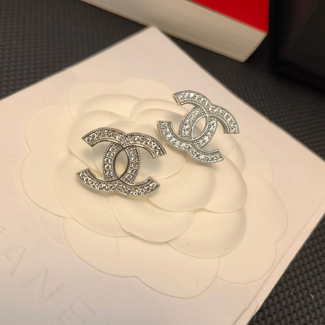 Earrings Jewelry