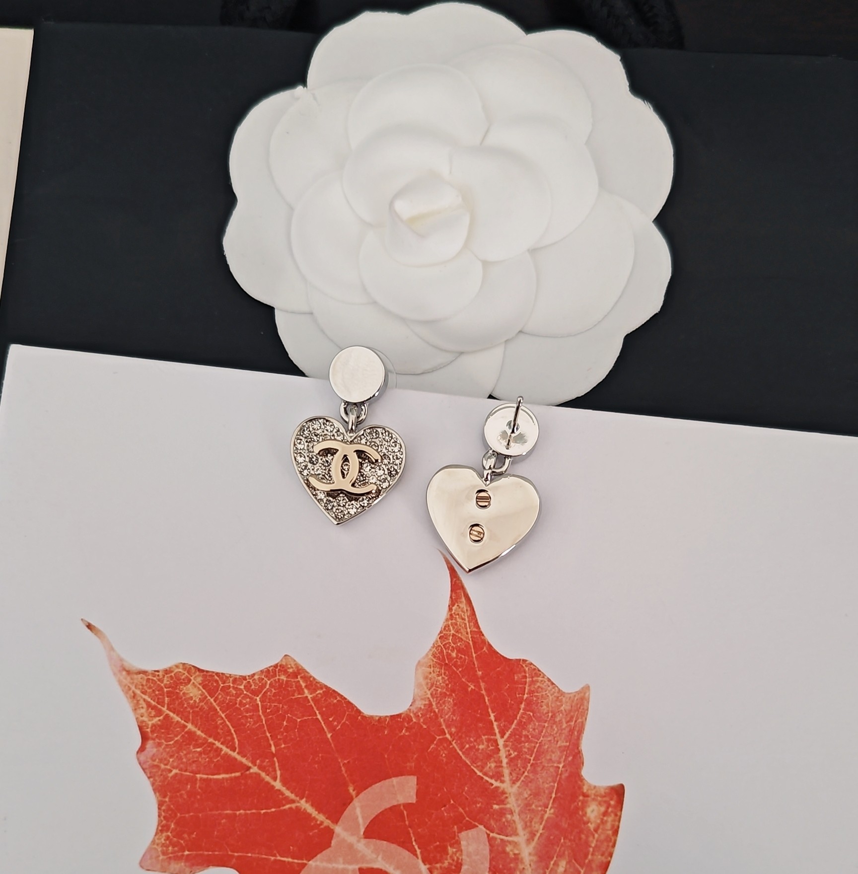 Earrings Jewelry