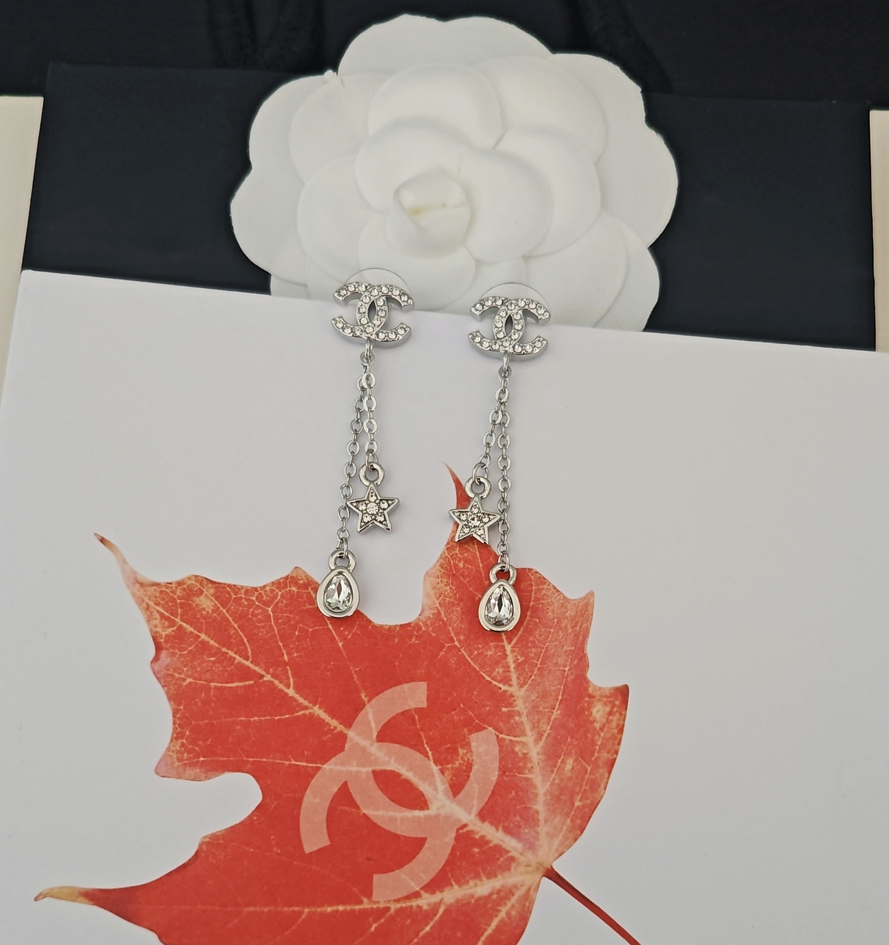 Earrings Jewelry