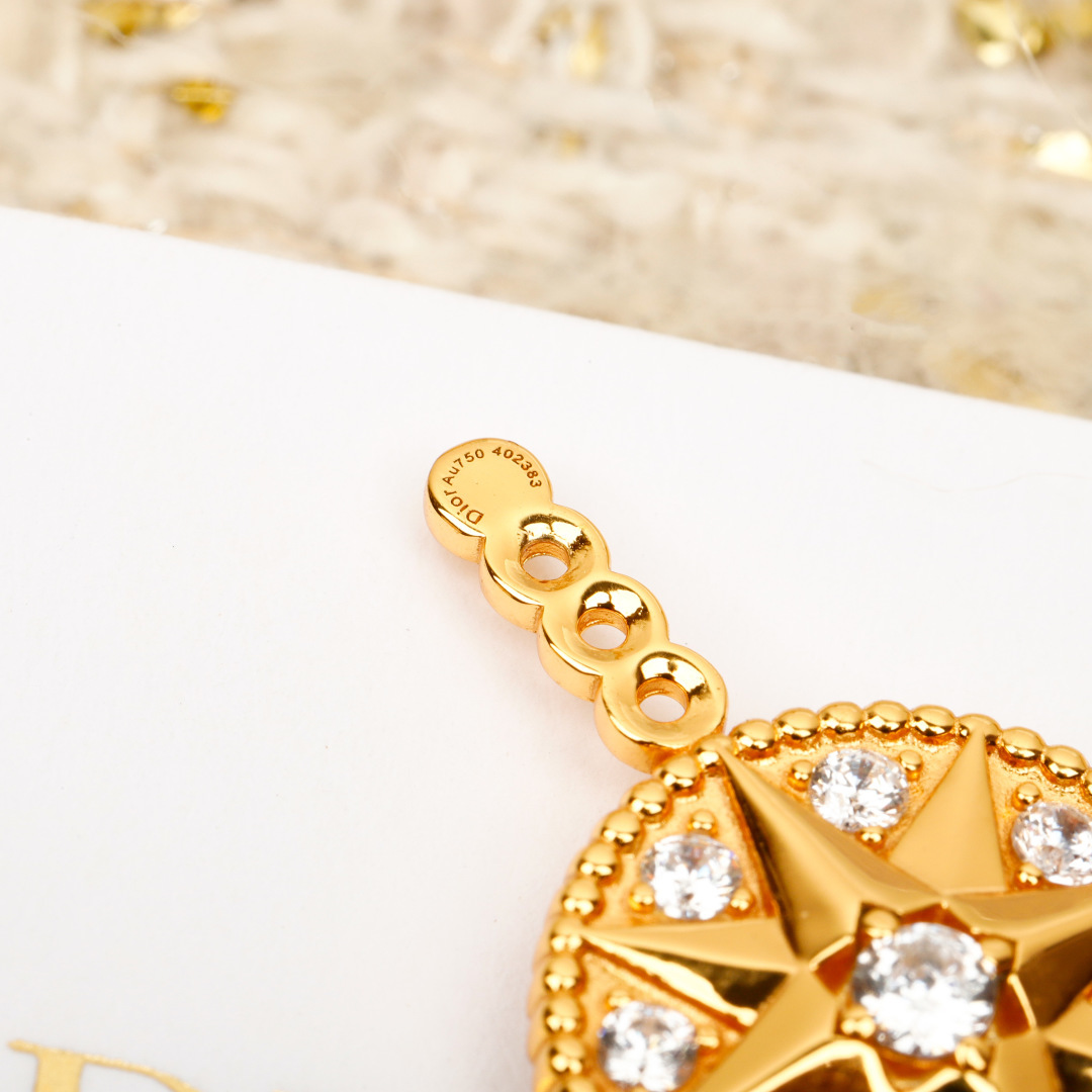 Earrings Jewelry