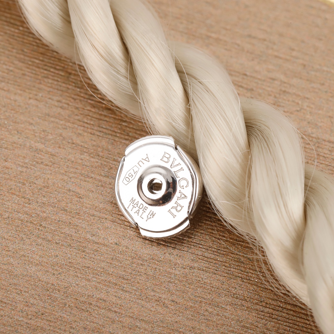 Earrings Jewelry
