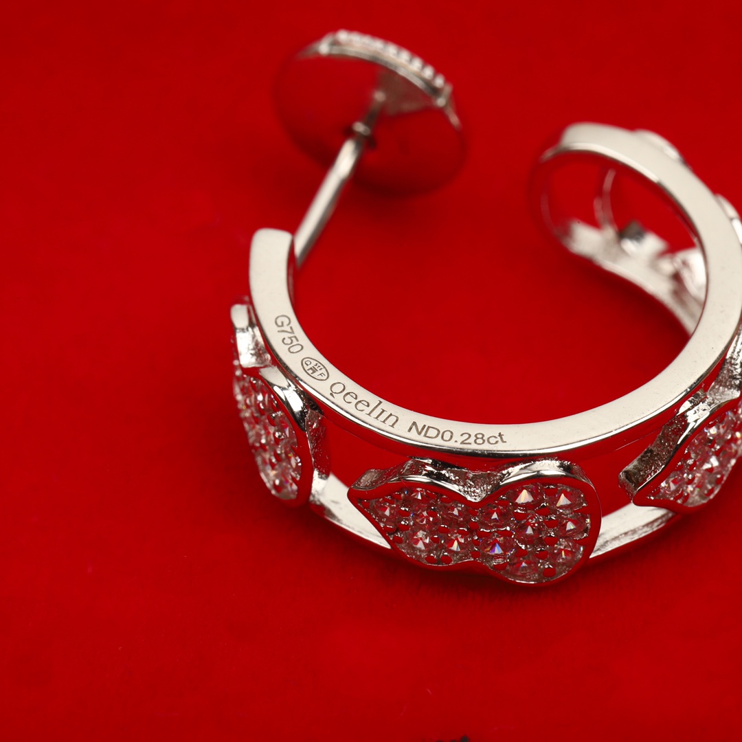 Earrings Jewelry
