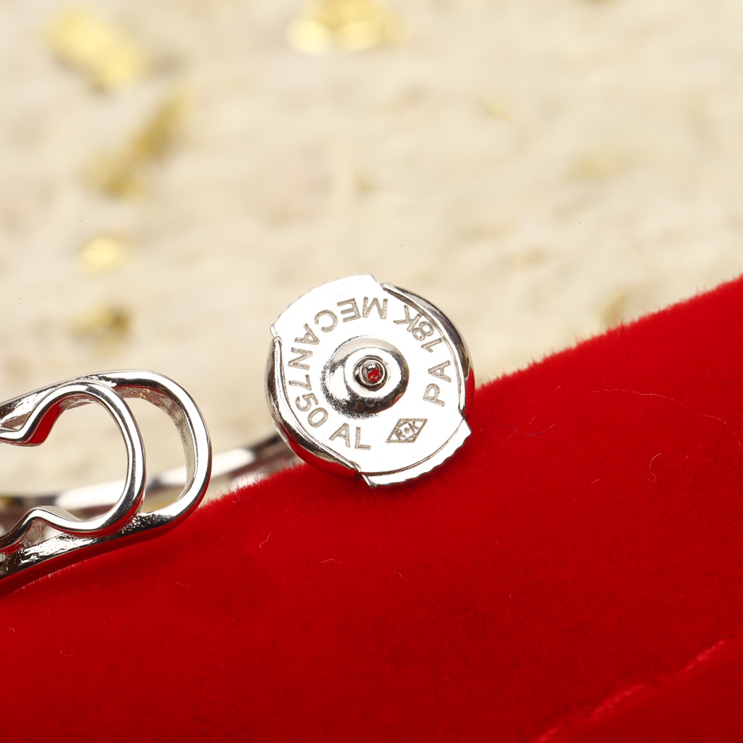Earrings Jewelry
