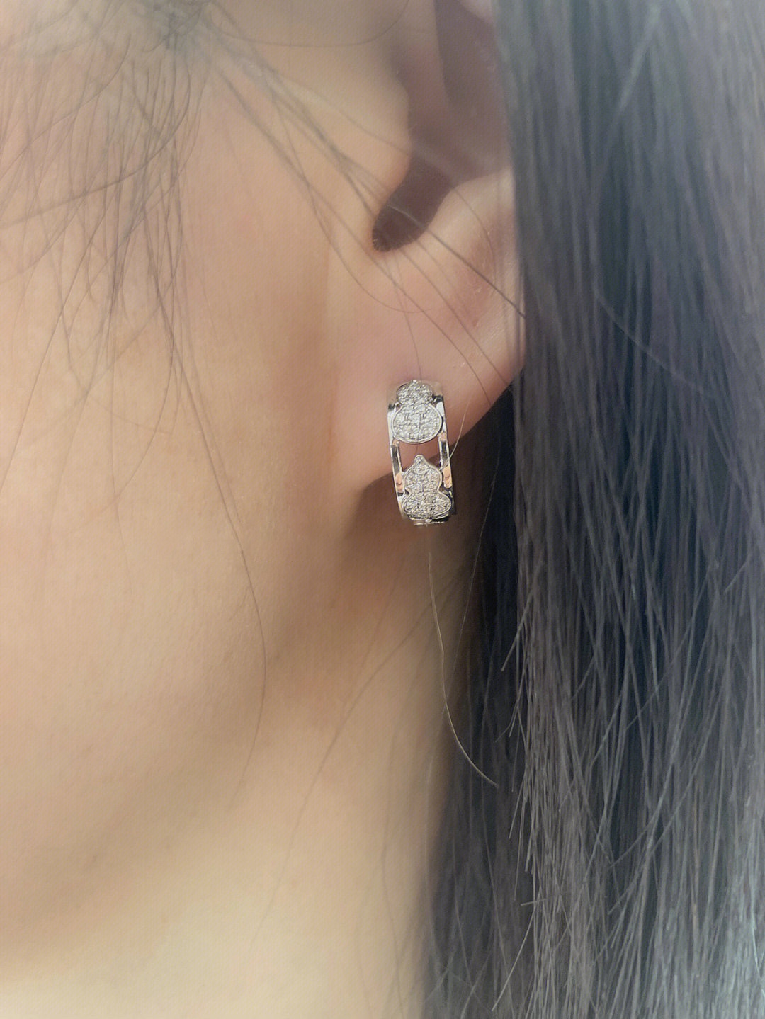 Earrings Jewelry