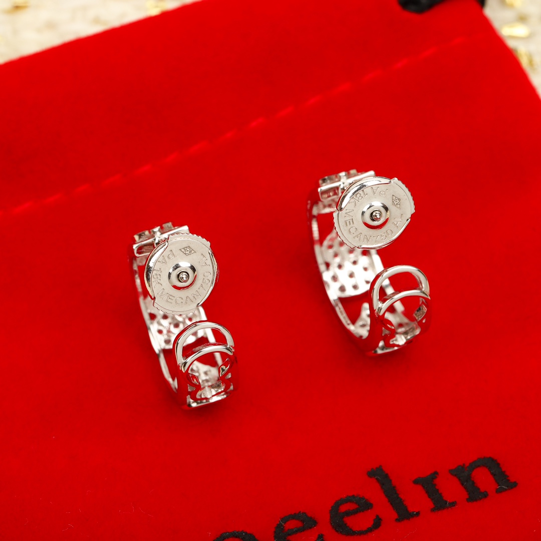 Earrings Jewelry