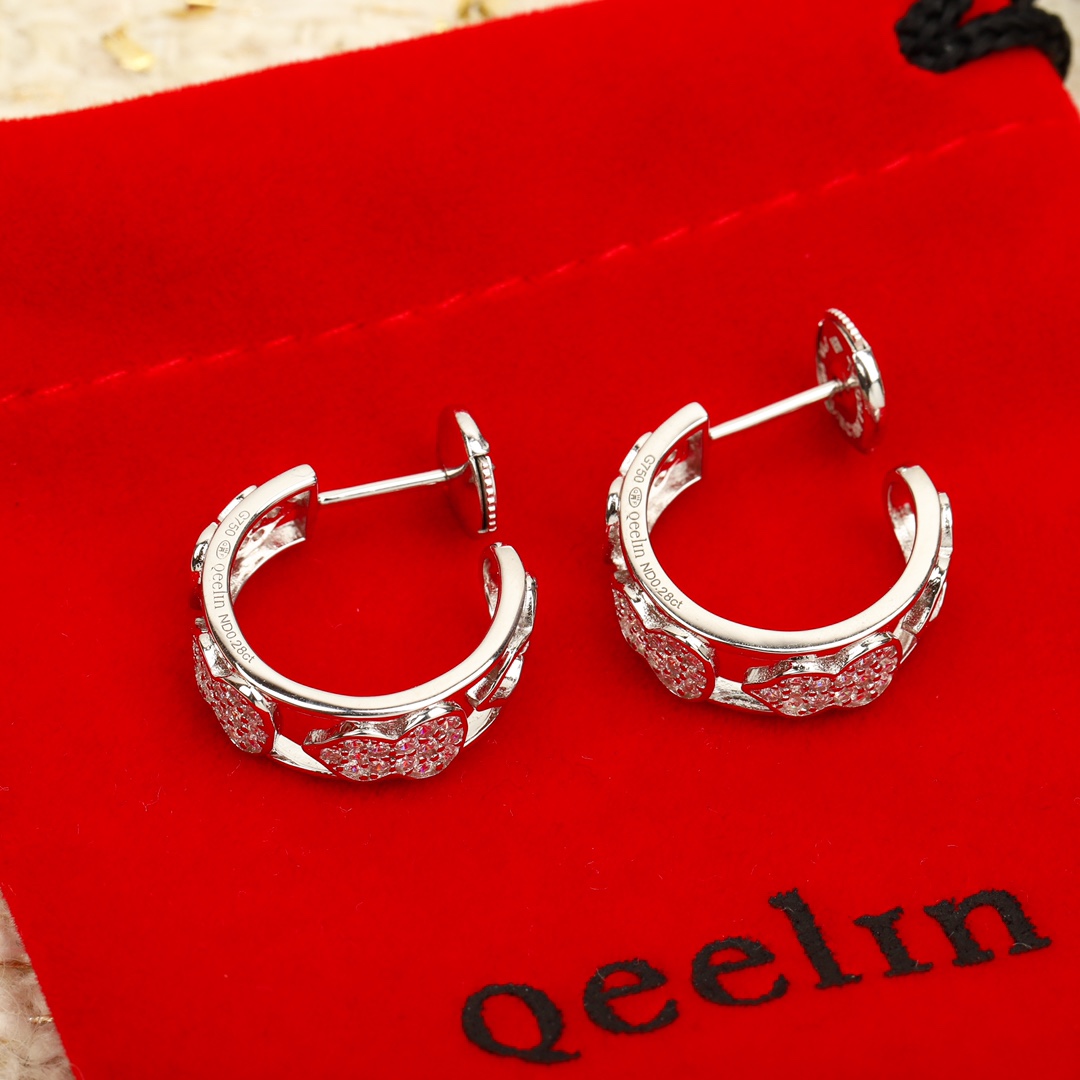Earrings Jewelry