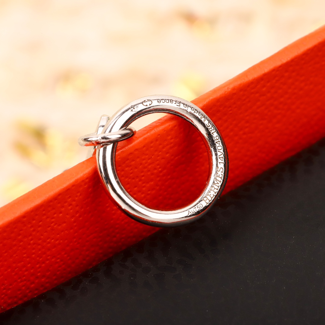 Earrings Jewelry
