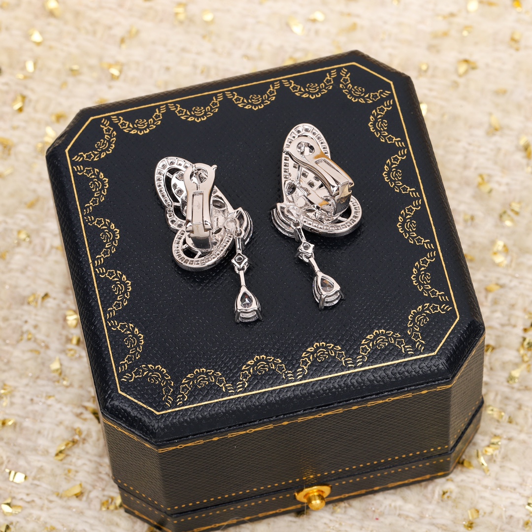 Earrings Jewelry