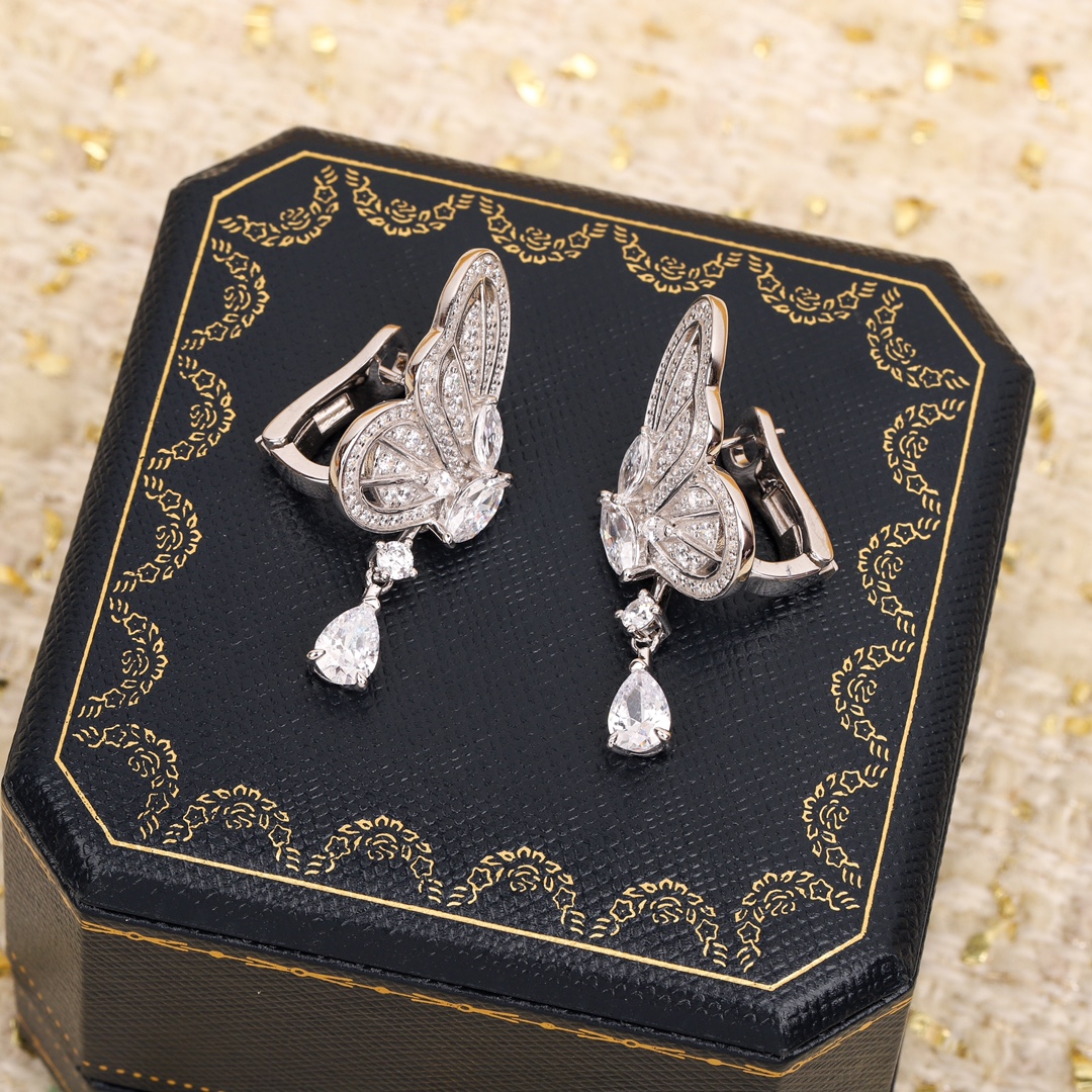 Earrings Jewelry