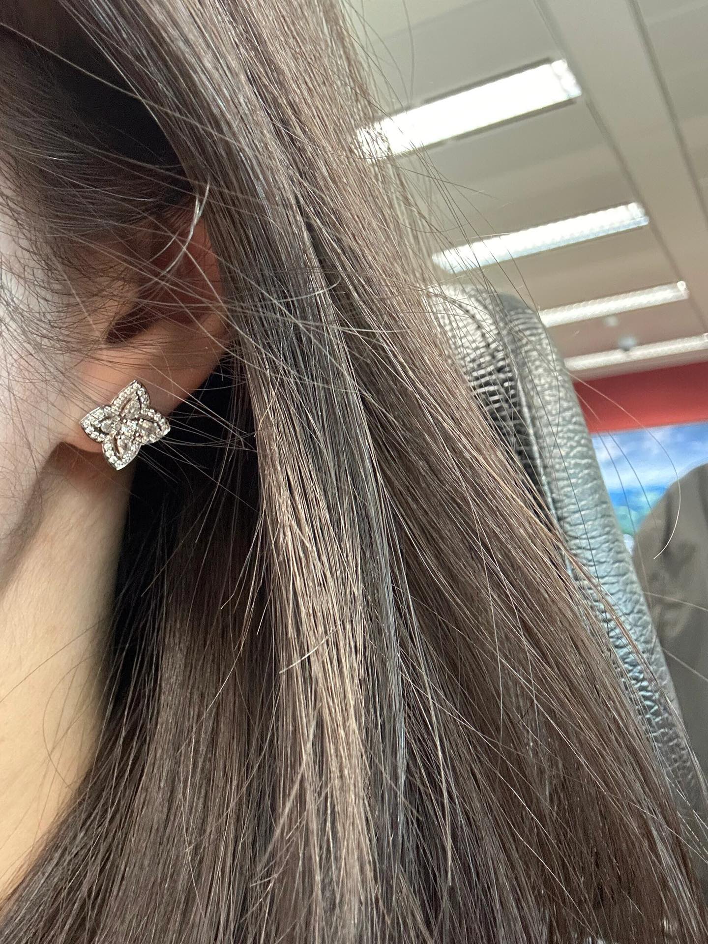 Earrings Jewelry