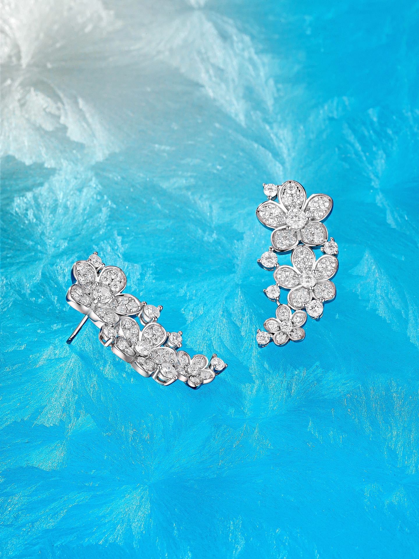 Earrings Jewelry