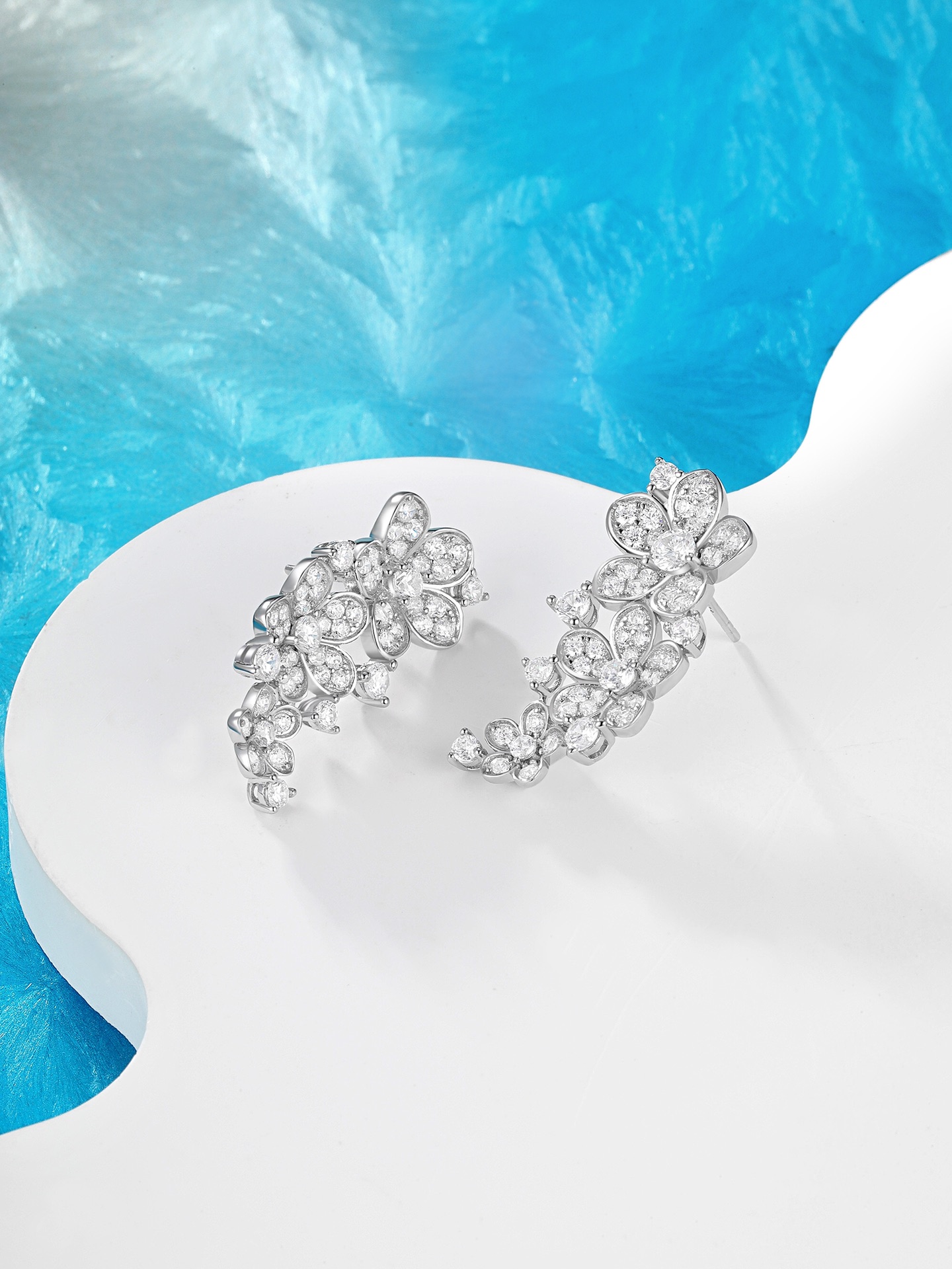 Earrings Jewelry