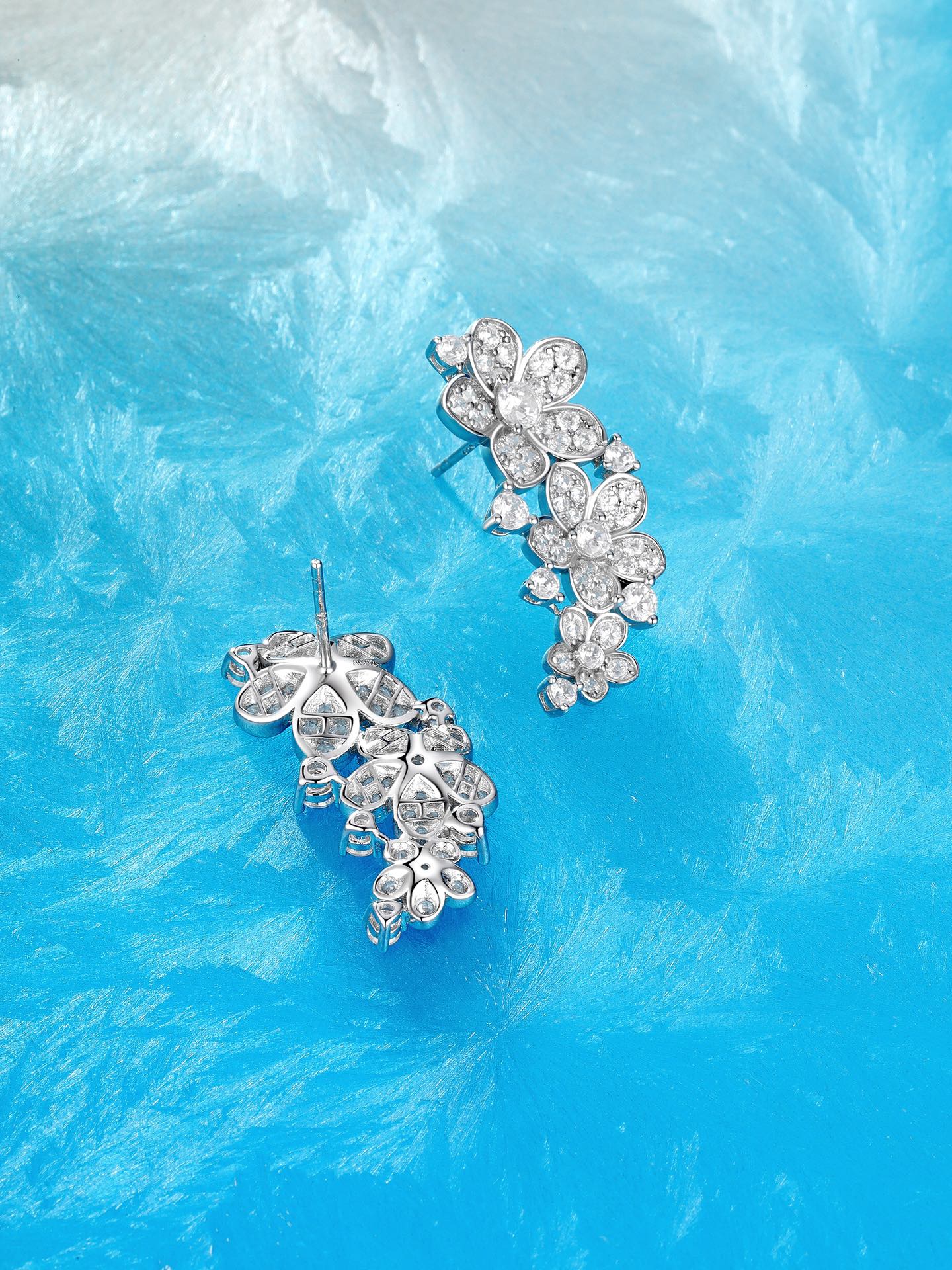 Earrings Jewelry