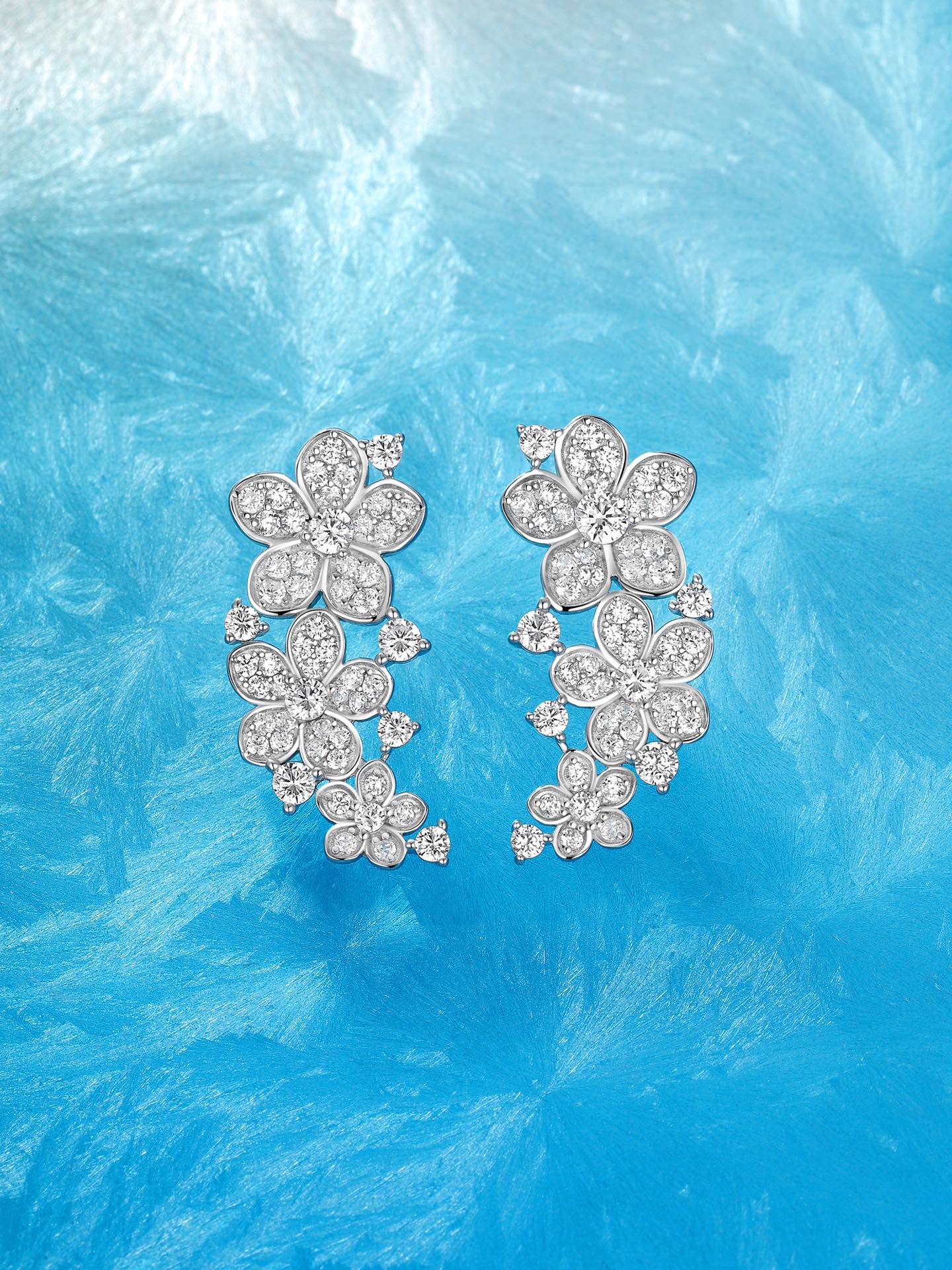 Earrings Jewelry