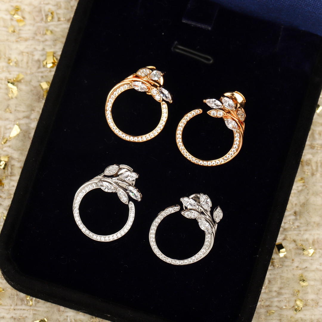 Earrings Jewelry