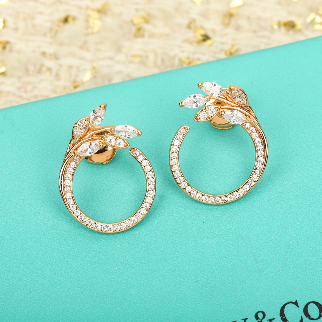 Earrings Jewelry