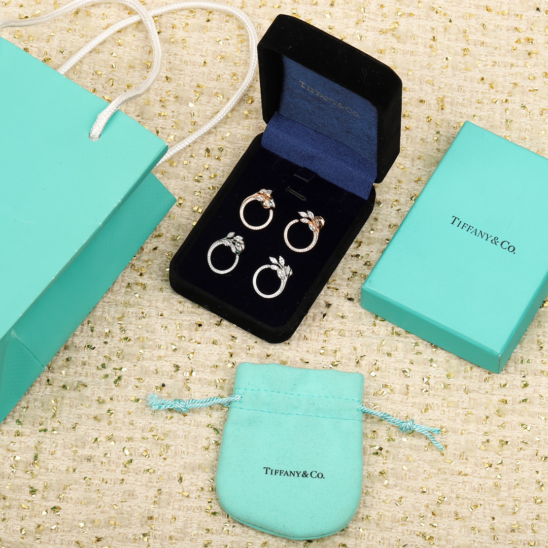 Earrings Jewelry
