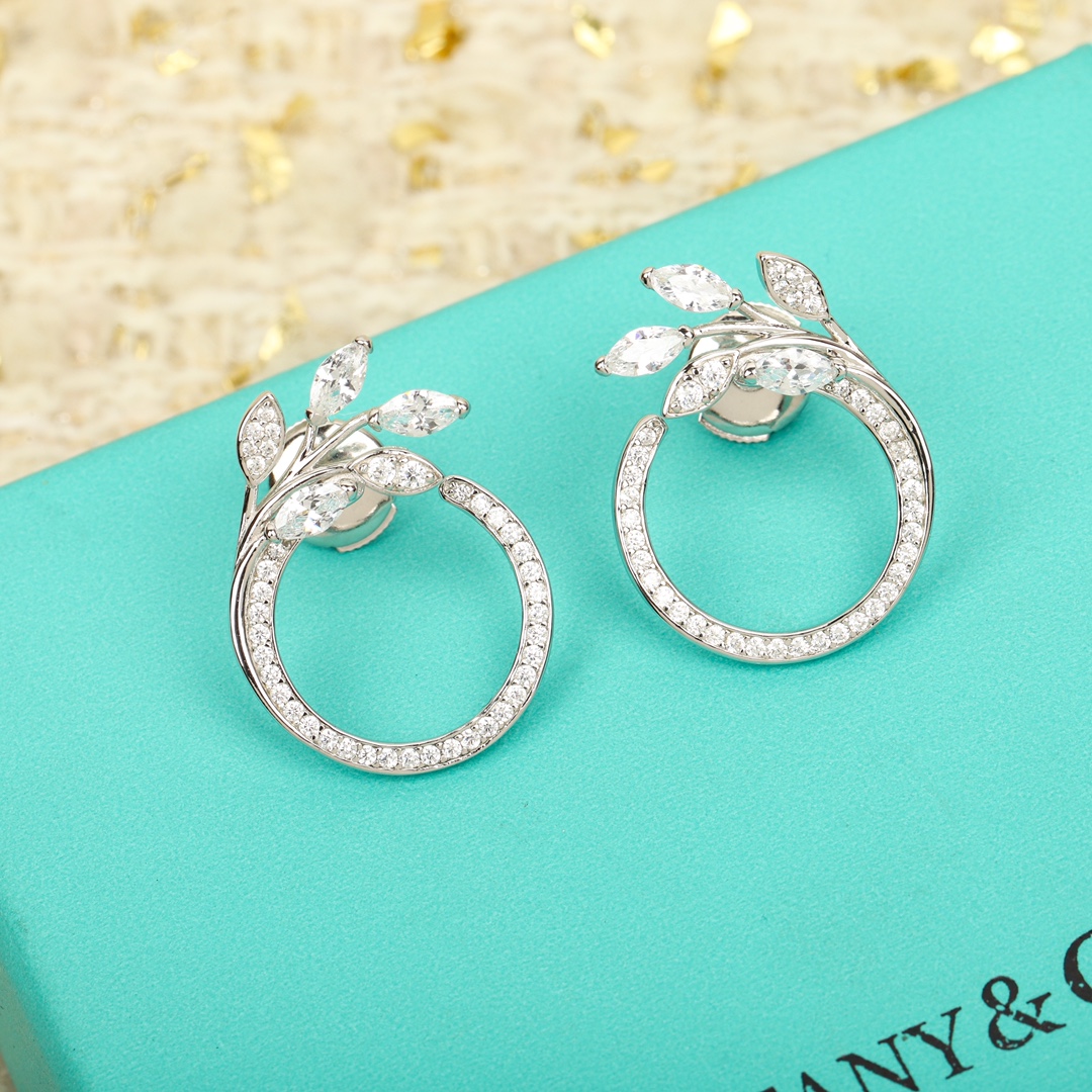 Earrings Jewelry