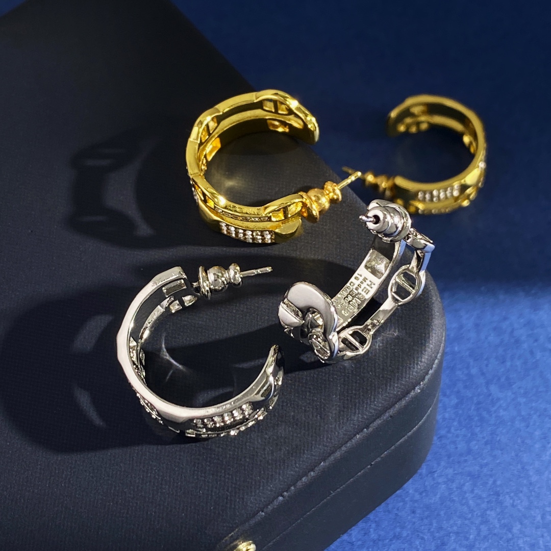 Earrings Jewelry