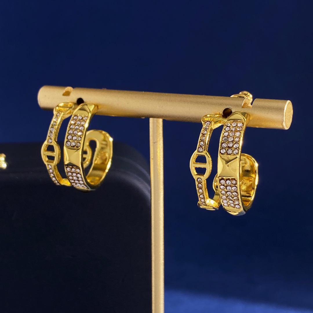 Earrings Jewelry