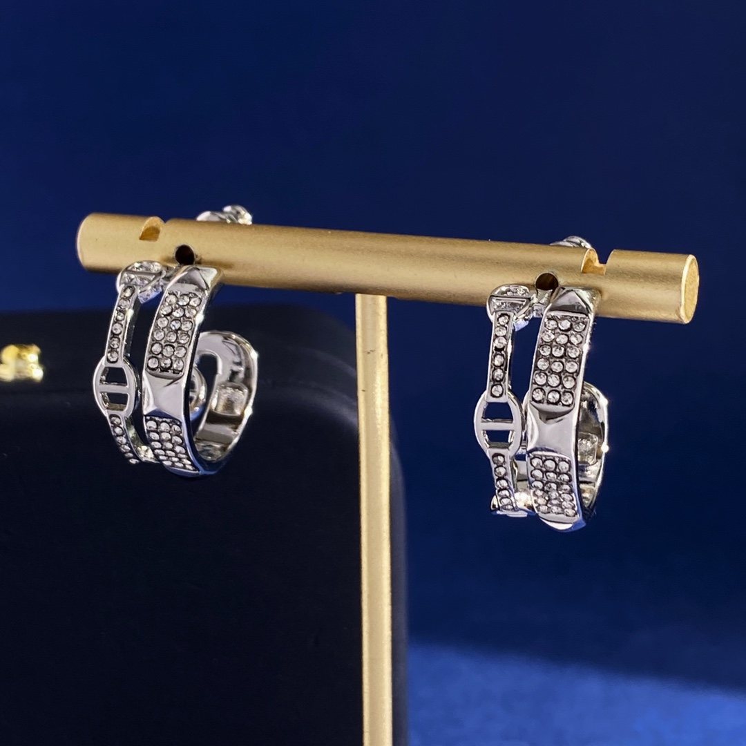 Earrings Jewelry