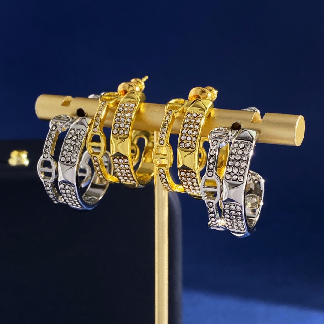 Earrings Jewelry