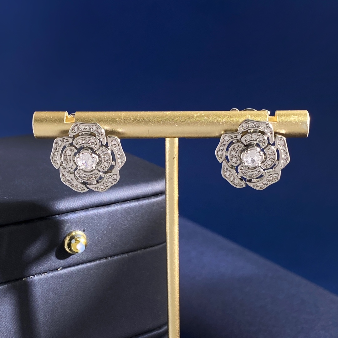 Earrings Jewelry