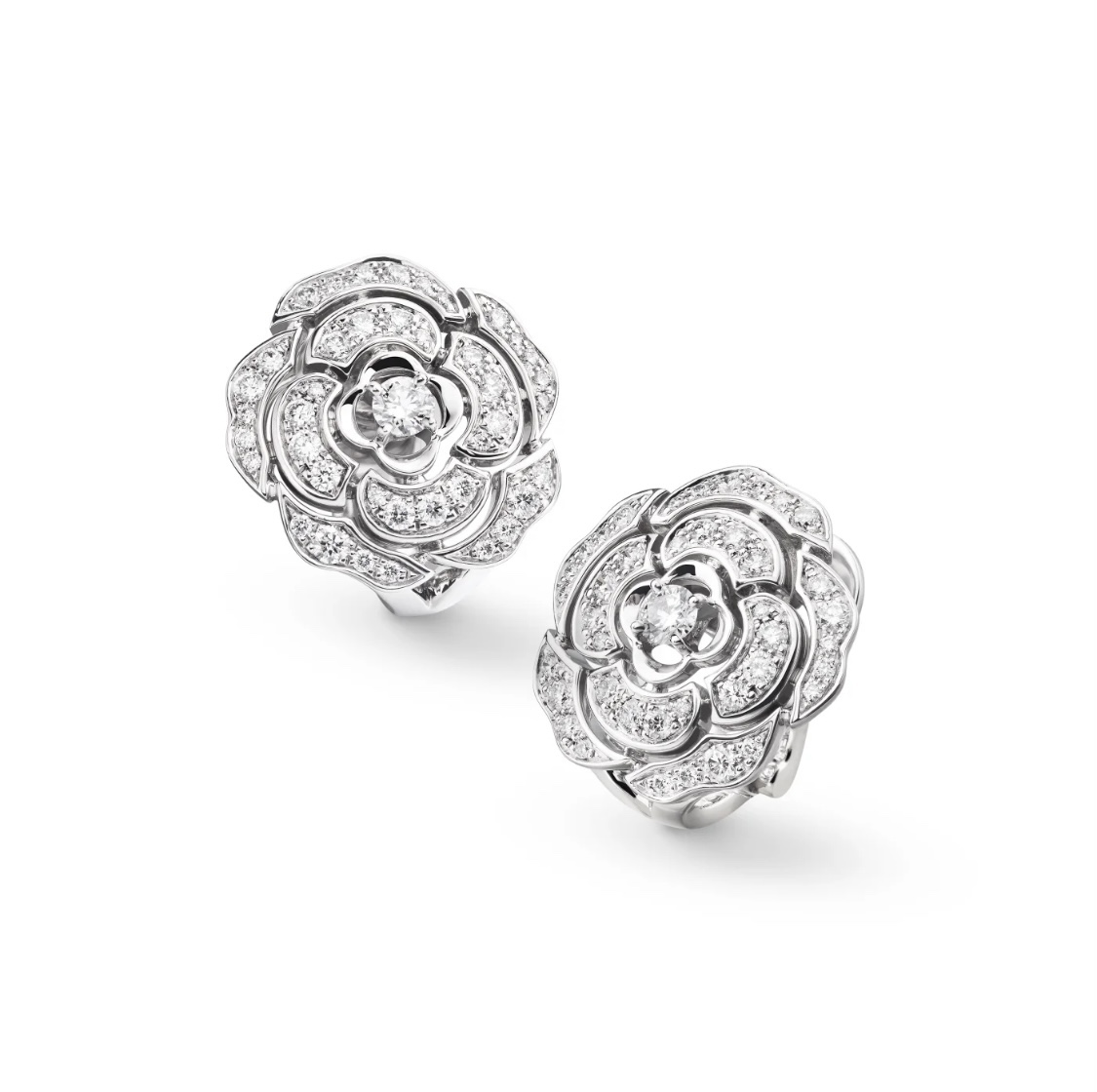 Earrings Jewelry