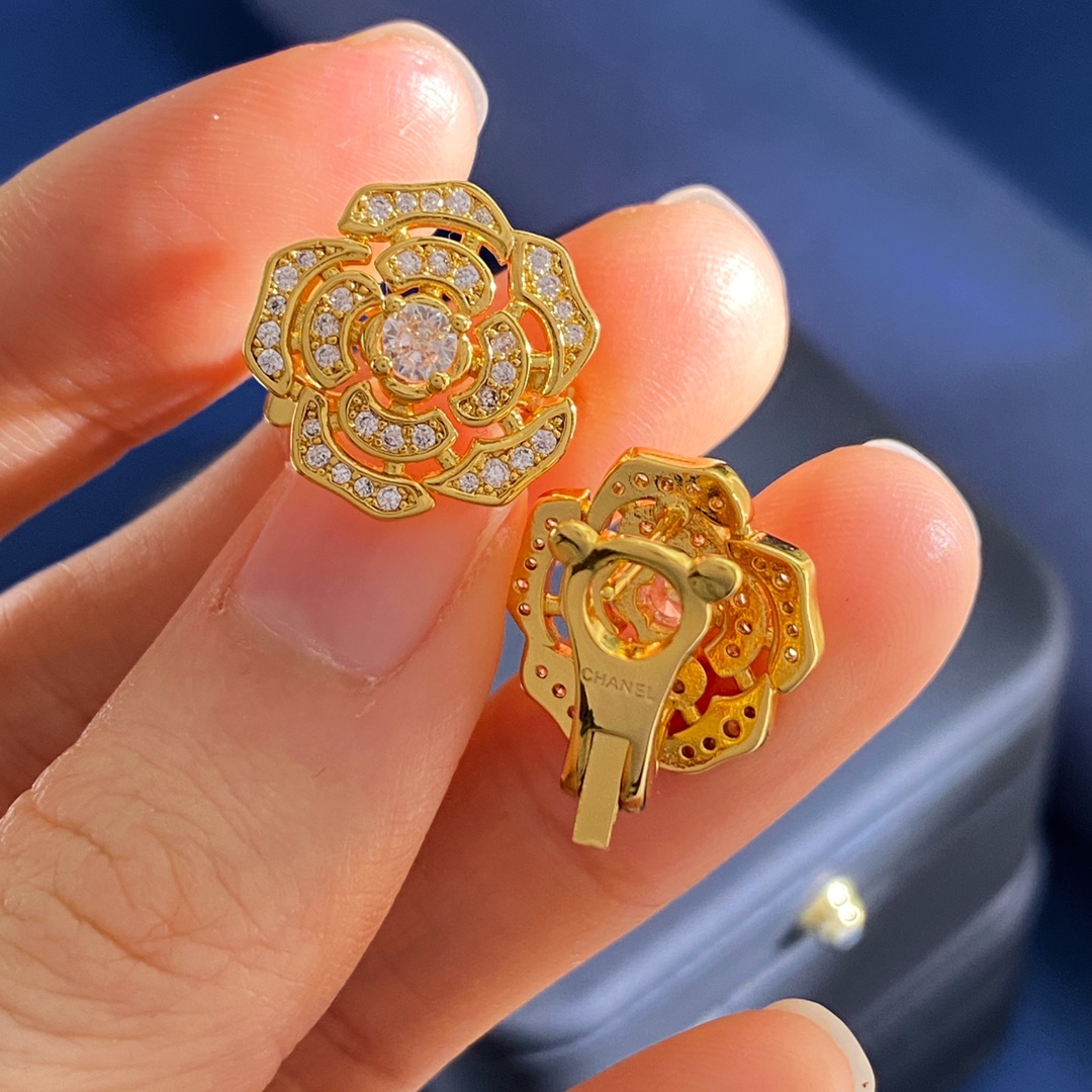 Earrings Jewelry