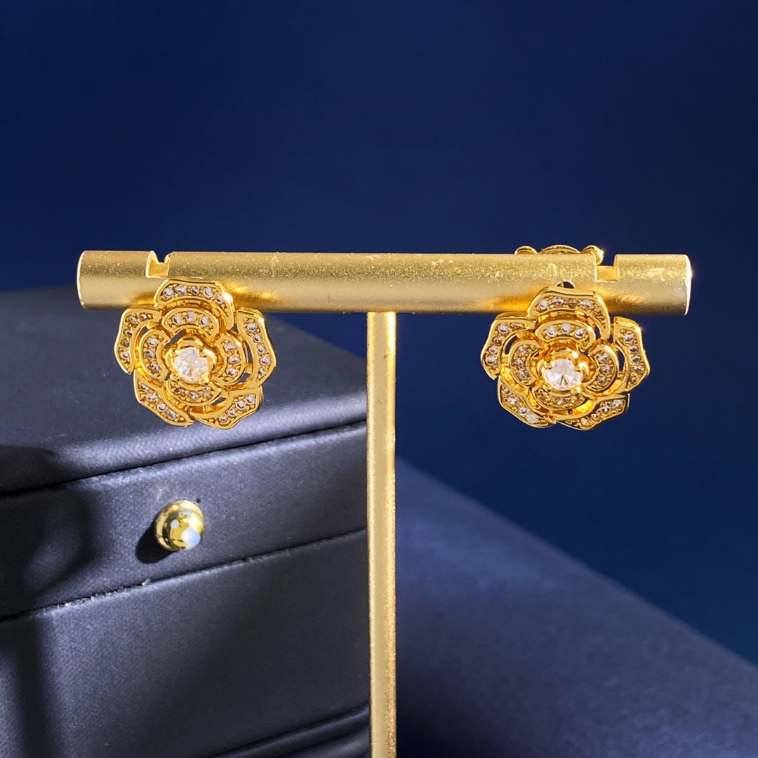 Earrings Jewelry