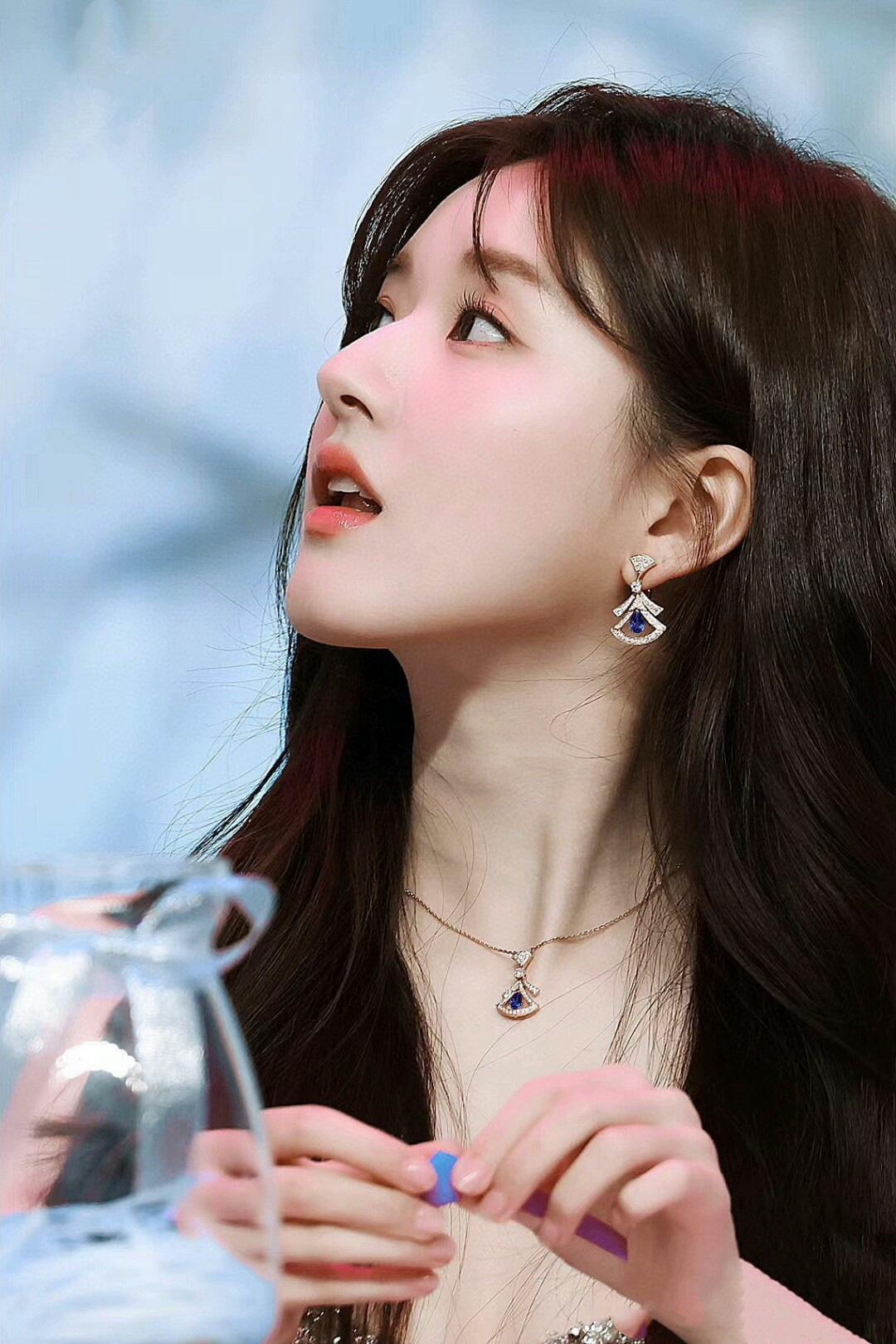 Earrings Jewelry