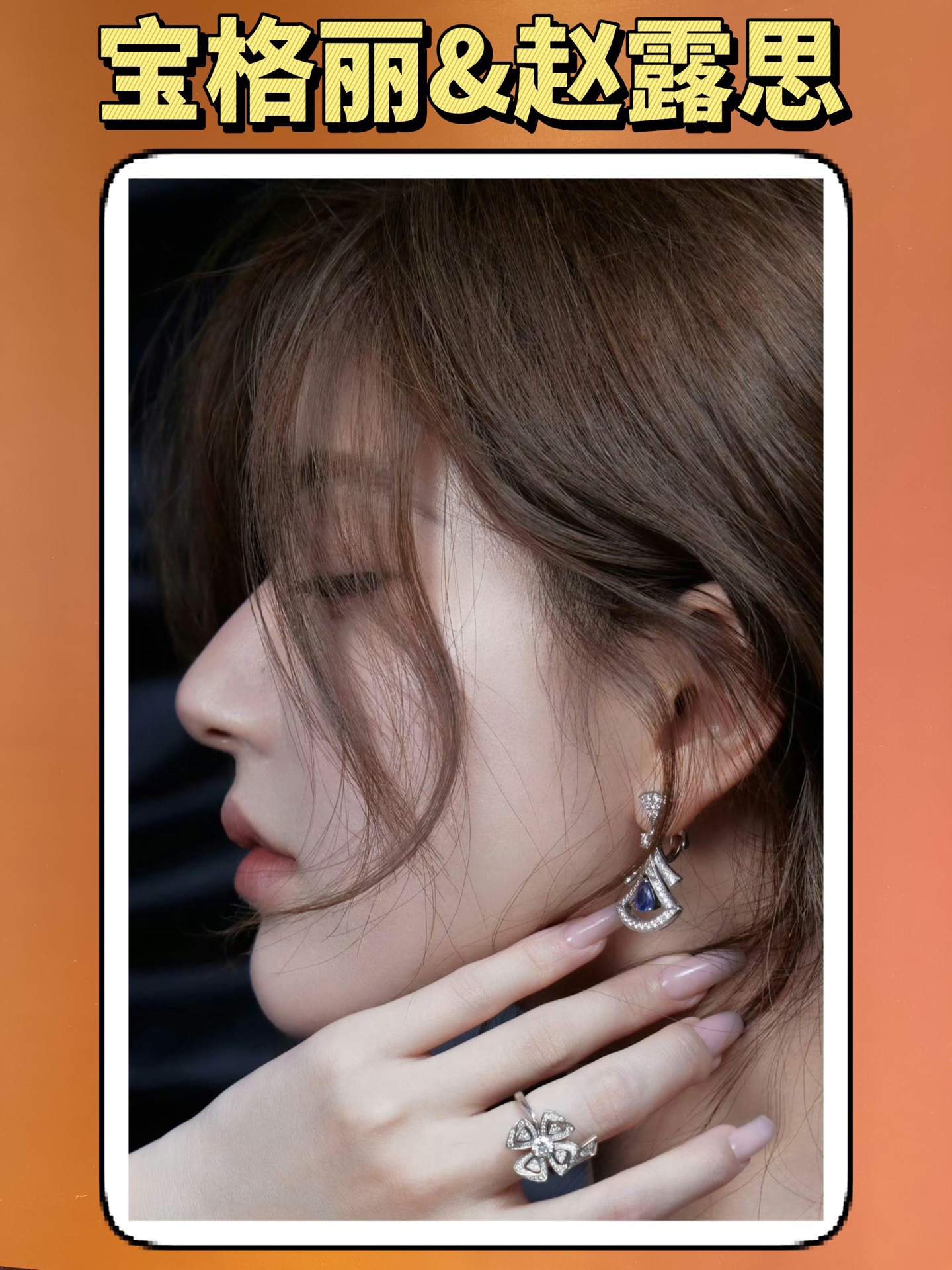 Earrings Jewelry