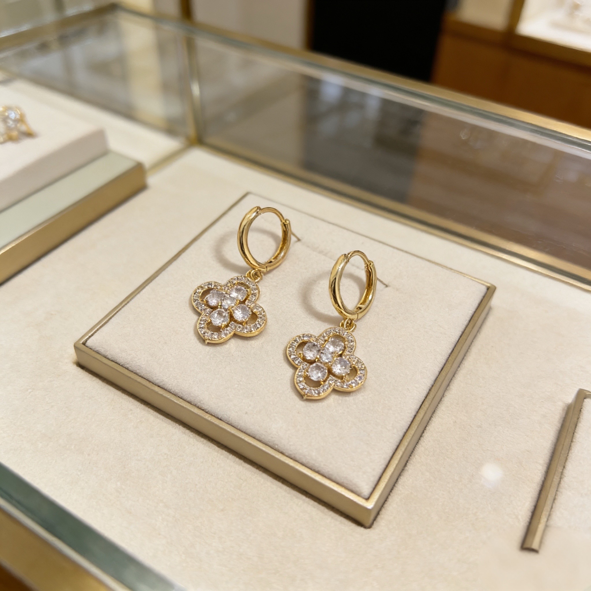 Earrings Jewelry
