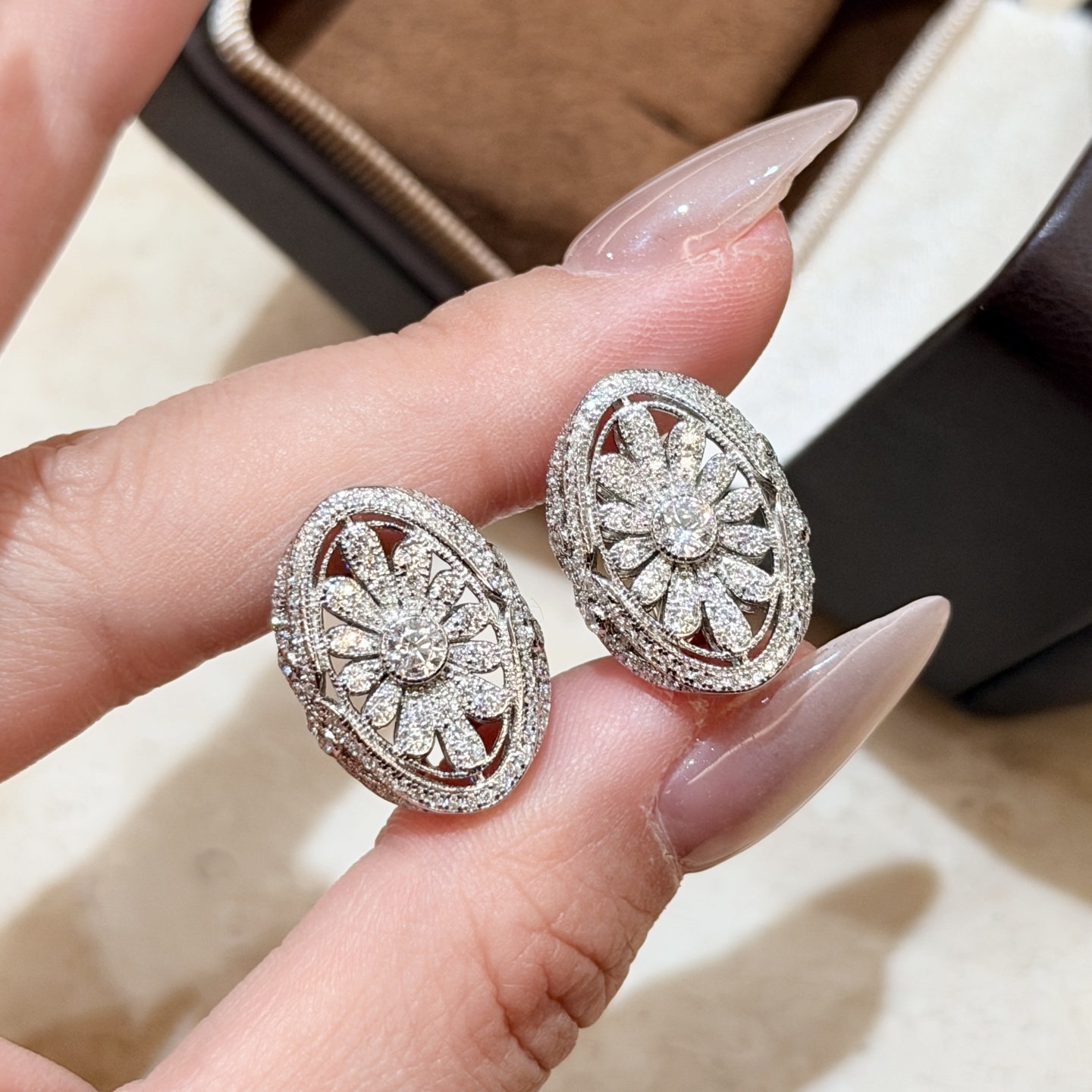 Earrings Jewelry