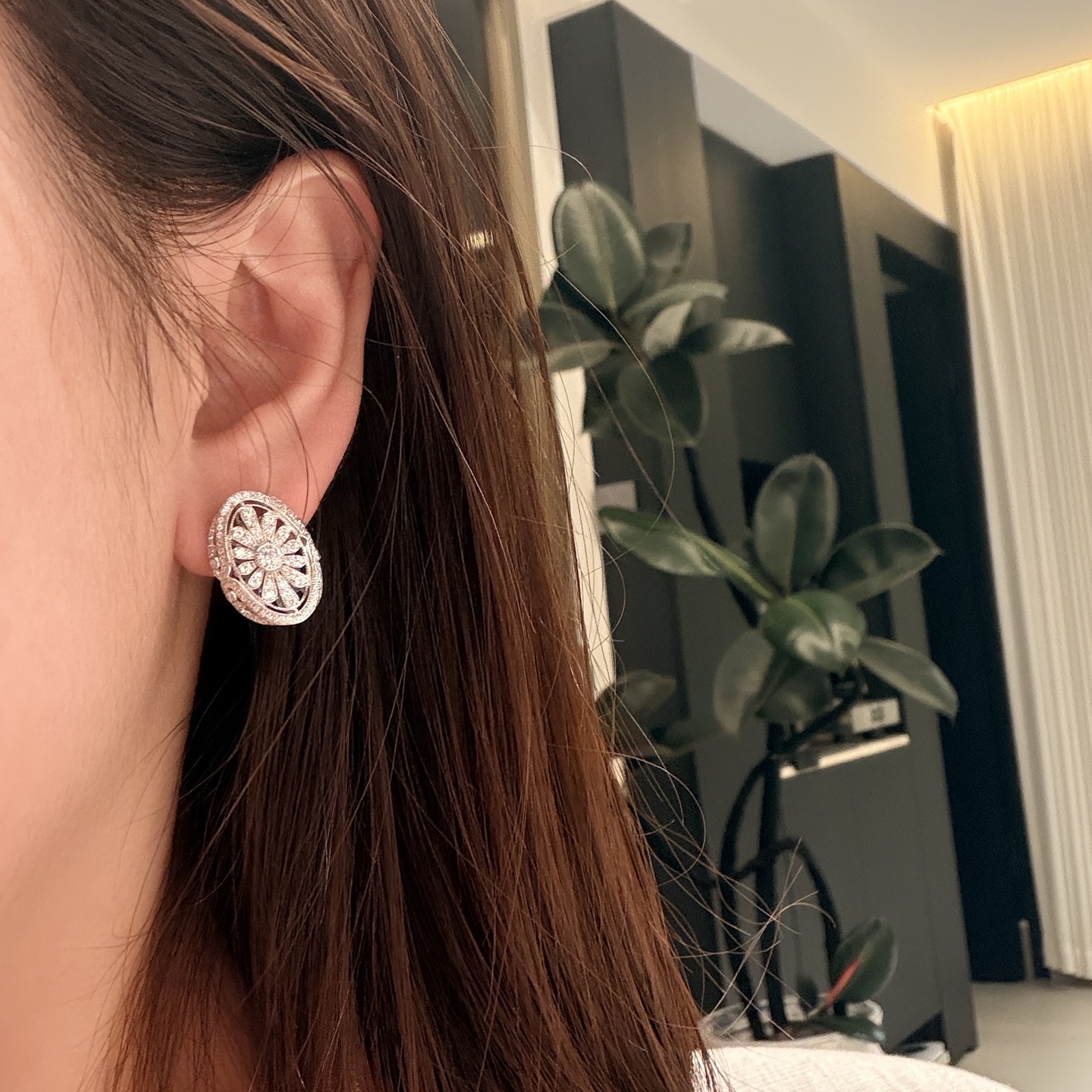 Earrings Jewelry